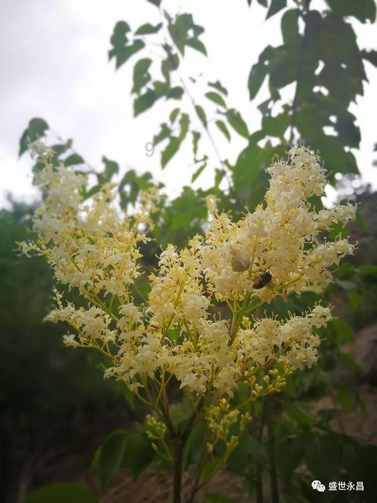 一点点奶茶怎么样?员工福利好么?-有问必答平台
