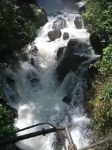 勇士吹泡泡