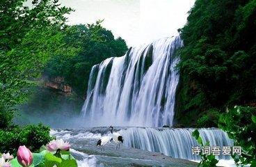 茶杯头